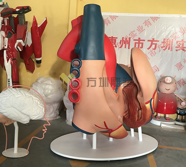 玻璃钢人體(tǐ)器官心脏雕塑模型